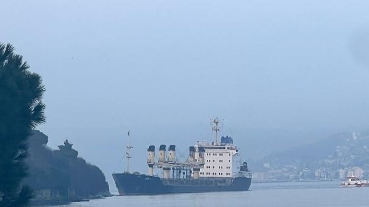 Ek fotoğraf // Yük gemisi karaya oturdu, İstanbul Boğazı&#039;ndaki gemi trafiği askıya alındı