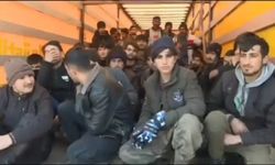 6 ilde operasyon; 44 göçmen kaçakçısı ve 881 düzensiz göçmen yakalandı