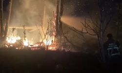 Barakadaki yangın, ormana sıçramadan söndürüldü