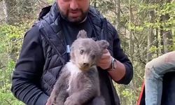 Sokakta buldukları yavru ayıyı besleyip ormana saldılar