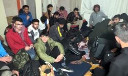 İstanbul- Avcılar'da kaçak göçmen operasyonu; yakalansalar da kuruyemiş yemeye devam ettiler