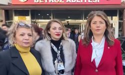 İstanbul - Avukat Feyza Altun 9 ay hapis cezasıyla cezalandırıldı