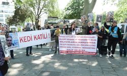 İstanbul - Beyazıt Meydanı'nda hayvanseverlerden kedi ölümlerine protesto