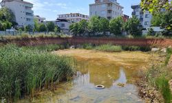 İstanbul - Sancaktepe'de inşaat temelindeki su tahliye edildi