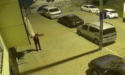 İstanbul - Sultangazi'de yaşanan hırsızlık olayları kamerada