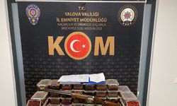 Yalova'da 'Türkiye vatandaşlığı' vaadiyle yabancıları dolandıranlara operasyon: 1 tutuklama