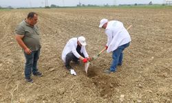 Kocaeli'de çiftçilere ücretsiz toprak analizi