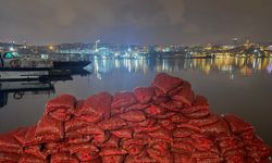 İstanbul- Eminönü'nde kaçak midye avlayan şüpheliye 26 bin lira ceza kesildi