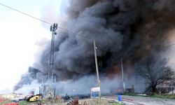 Tekirdağ'da fabrika yangını (2)