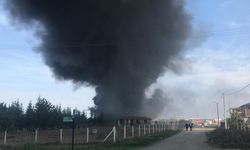 Tekirdağ’da fabrika yangını