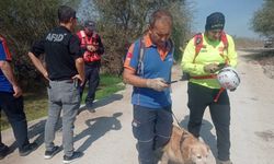 Bursa'da bir haftadır haber alınamayan 68 yaşındaki kişi aranıyor