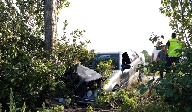 Bursa’da ağaca çarpan otomobildeki 2 kişi yaralandı