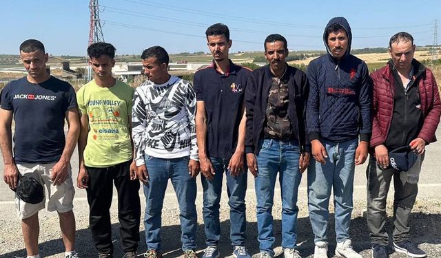 Edirne’de 20 kaçak göçmen yakalandı