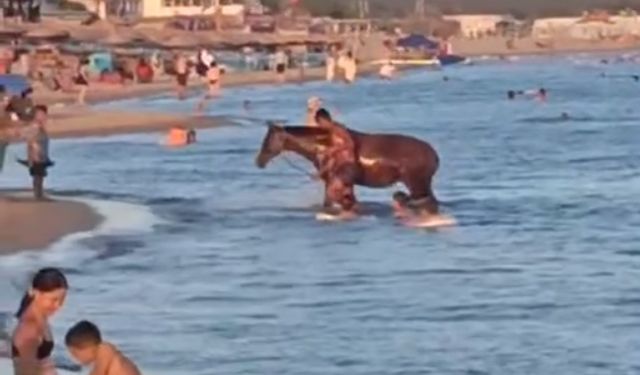 Serinlemek için atıyla birlikte denize girdi, o anlar kamerada