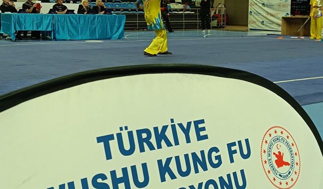 Wushu Türkiye Şampiyonası, Sakarya'da başladı