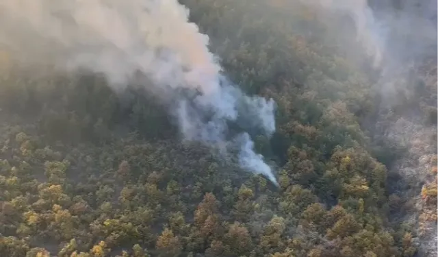 Bilecik Kurtköy'deki orman yangını söndürüldü