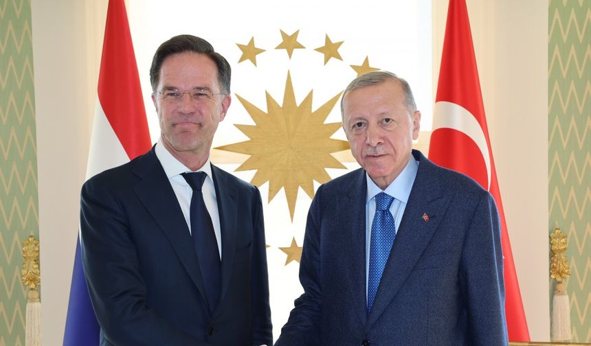 İstanbul - Cumhurbaşkanı Erdoğan Hollanda Başbakanı Rutte'yi kabul etti