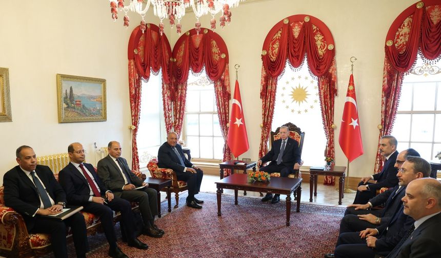 İstanbul- Cumhurbaşkanı Erdoğan Mısır Dışişleri Bakanı Sameh Shoukry'i kabul etti