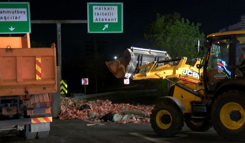 İstanbul-Küçükçekmece'de hayvansal atık taşıyan kamyon devrildi
