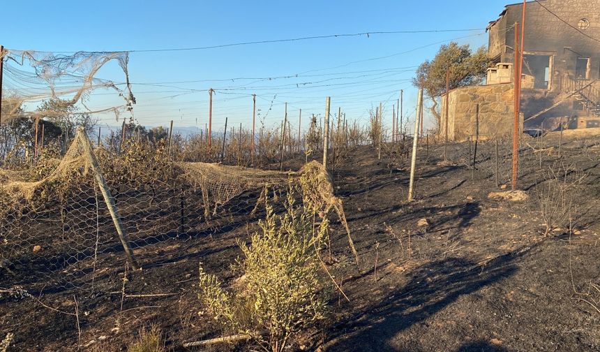 Çanakkale'de bir orman yangını daha (3)