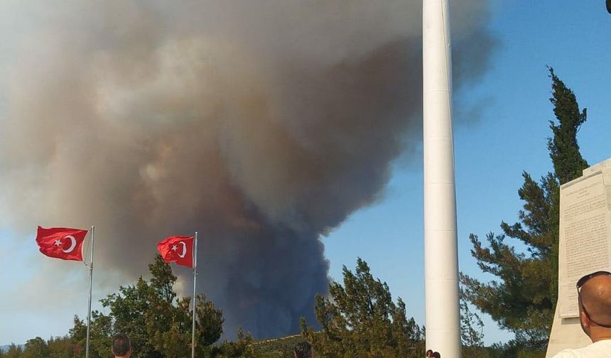 Çanakkale’de orman yangını / Ek fotoğraflar